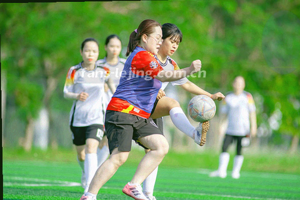软件更新界面的抽象图，显示数据同步与版本状态